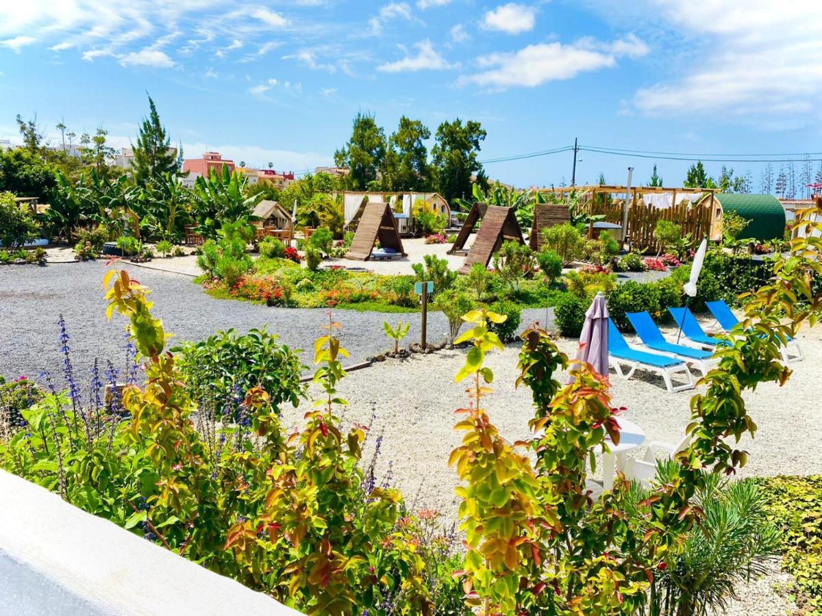 Arrebol Suite Con Jacuzzi, Piscina Y Naturaleza Buzanada Dış mekan fotoğraf