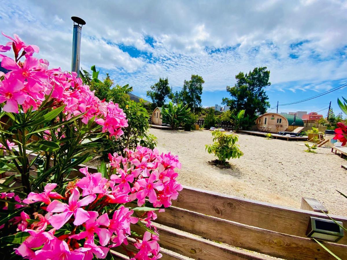 Arrebol Suite Con Jacuzzi, Piscina Y Naturaleza Buzanada Dış mekan fotoğraf